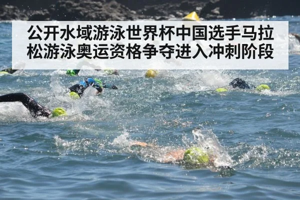 公开水域游泳世界杯中国选手马拉松游泳奥运资格争夺进入冲刺阶段（MG Sports App）