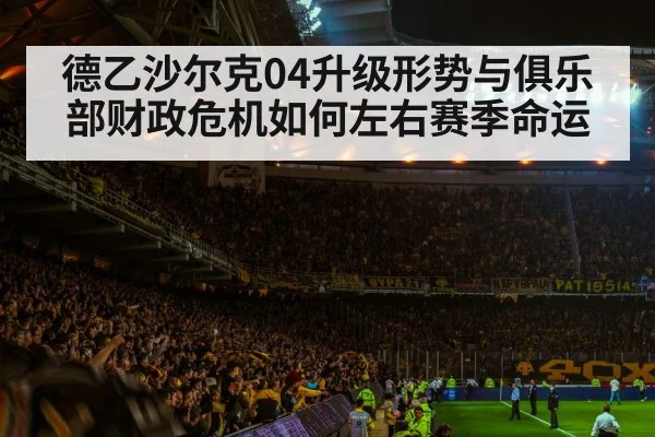 football stadium crowd atmosphere | MG Sports App